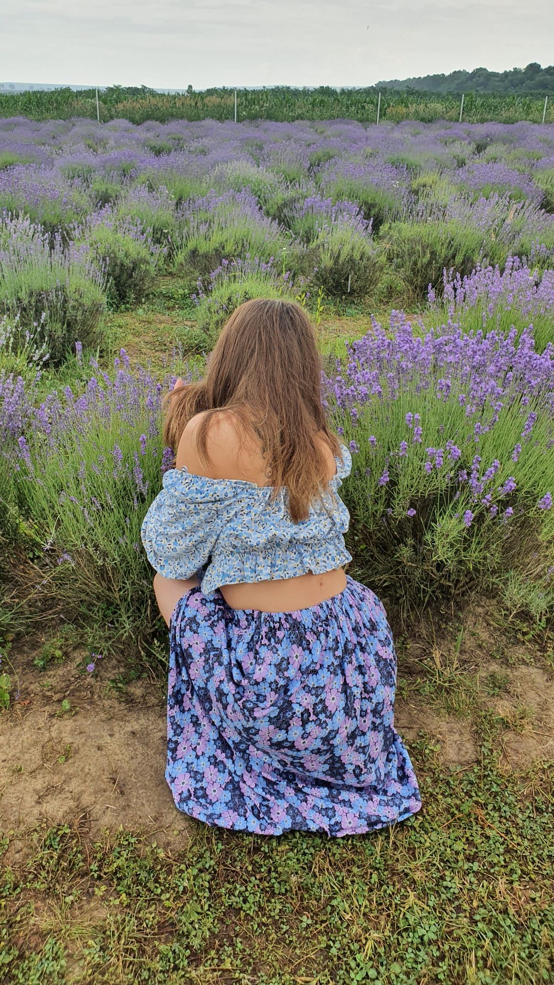 par ingrijit cu uleiuri esential de lavanda